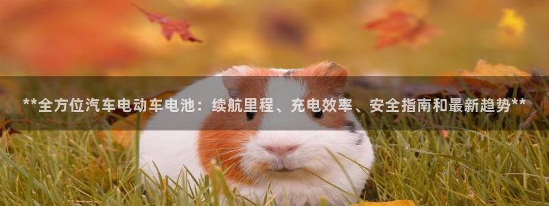 优发国际平台g8