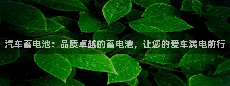 优发国际官方网手机版