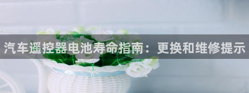优发国际官网