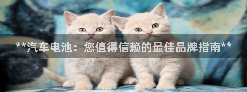 优发国际手机版唯一官网下载