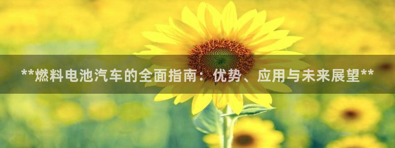 优发国际客服联系方式是什么