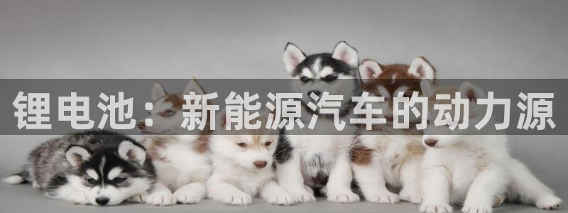 优发国际客服联系方式是什么