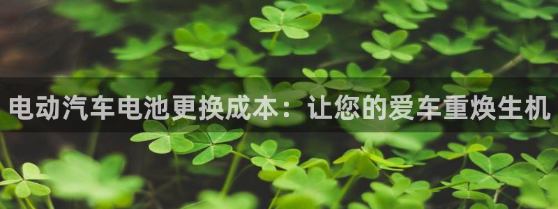 优发国际平台u8是什么软件