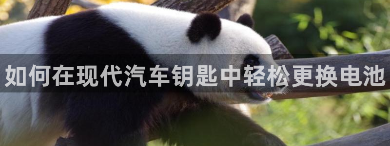 优发国际游戏官网