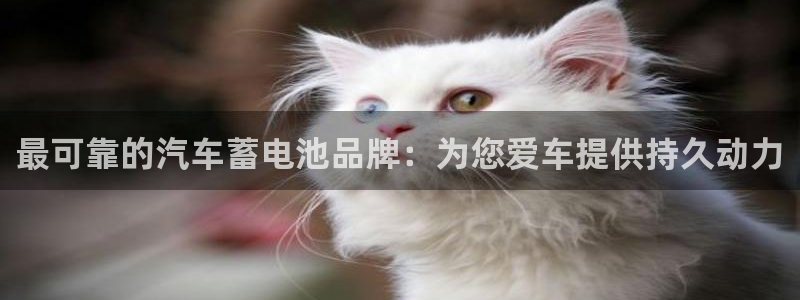 优发国际平台18