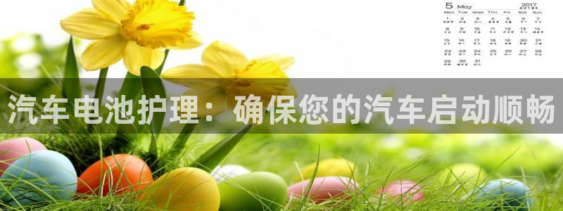 优发国际集团股份有限公司招聘：汽车电池护理：确保您的汽车启动顺畅