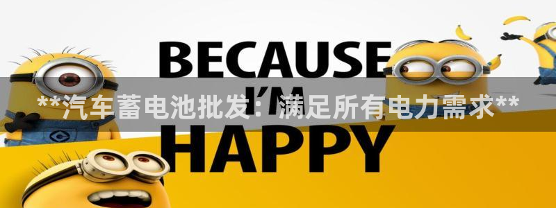 优发国际官网手：**汽车蓄电池批发：满足所有电力需求**