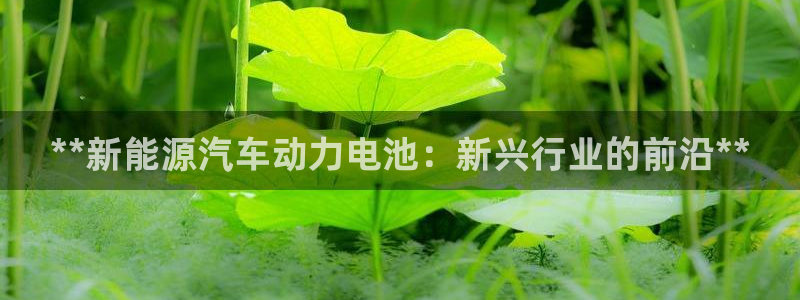 优发国际官网网站首页