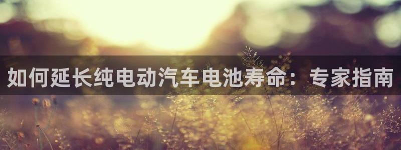 优发国际合并到哪里了
