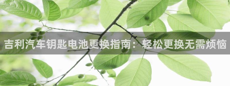 优发国际vip网址：吉利汽车钥匙电池更换指南：轻松更换无需烦恼