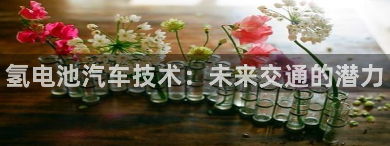 优发国际网页