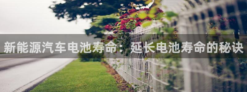 优发国际客服联系方式电话