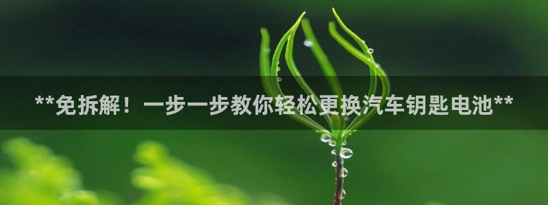 优发国际官网是多少