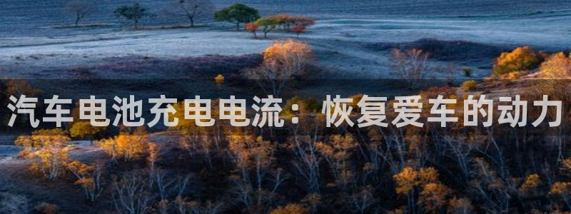 优发国际官网手机版app