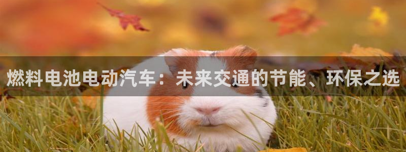 优发国际手机版客户端下载