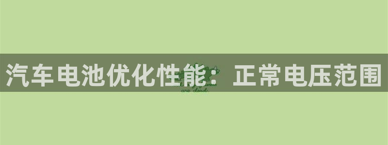 优发国际手机客户端下载不了：汽车电池优化性能：正常电压范围