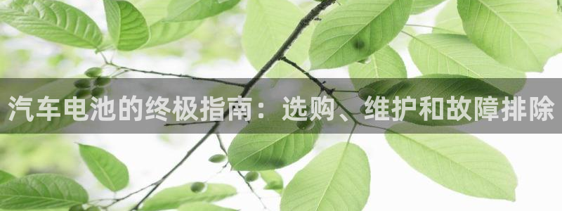 优发国际手机客户端：汽车电池的终极指南：选购、维护和故障排除