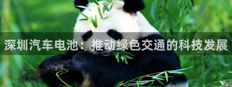 优发国际官网下载苹果版：深圳汽车电池：推动绿色交通的科技发展