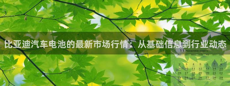 优发国际手机客户端下载不了：比亚迪汽车电池的最新市场行情：从基础信息到行业动态