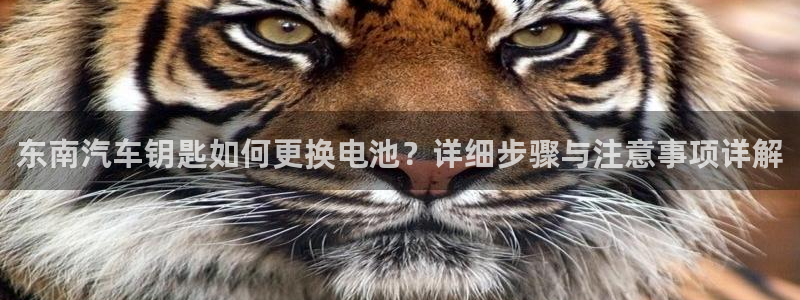优发国际手机版下载安装