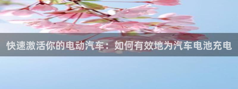 优发国际官网网站登录：快速激活你的电动汽车：如何有效地为汽车电池充电