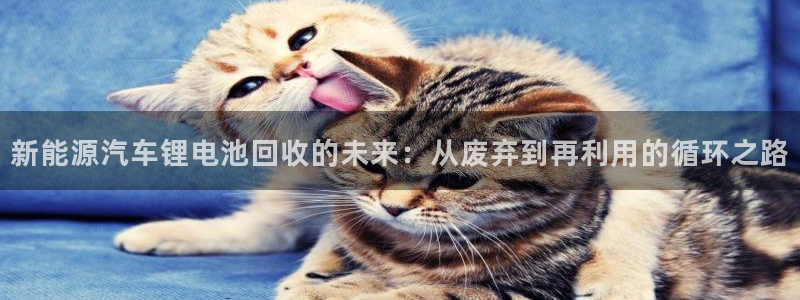 优发国际平台u8是什么软件：新能源汽车锂电池回收的未来：从废弃到再利用的循环之路