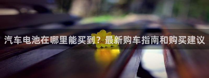 优发国际手机版网站入口：汽车电池在哪里能买到？最新购车指南和购买建议