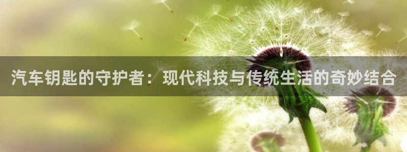 优发国际官网入口app下载苹果：汽车钥匙的守护者：现代科技与传统生活的奇妙结合