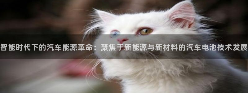 优发国际是不是黑网：智能时代下的汽车能源革命：聚焦于新能源与新材料的汽车电池技术发展