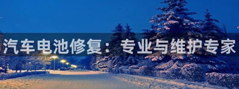 优发国际客服联系方式是什么：汽车电池修复：专业与维护专家