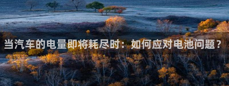优发国际app登录不了：当汽车的电量即将耗尽时：如何应对电池问题？
