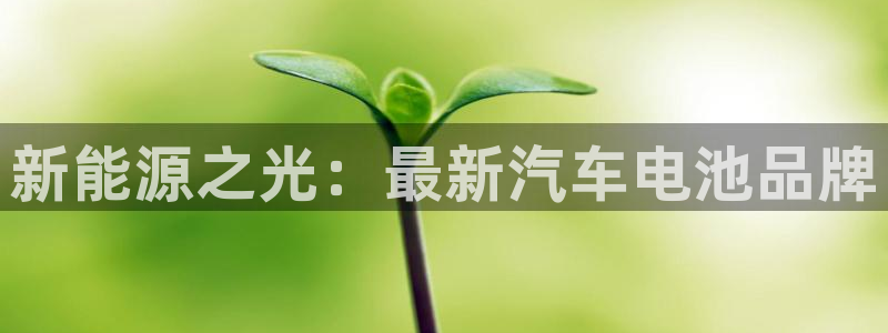 优发国际合并到哪里了啊