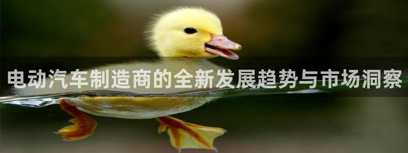 优发娱乐pc版官网