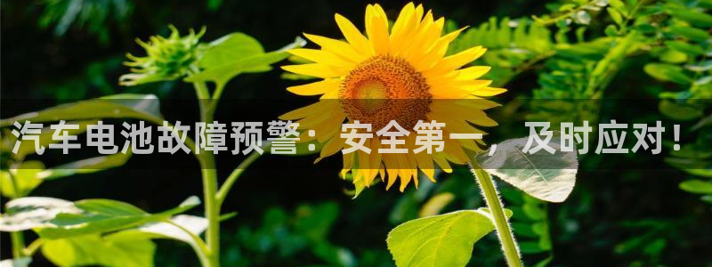优发国际手机版网站入口