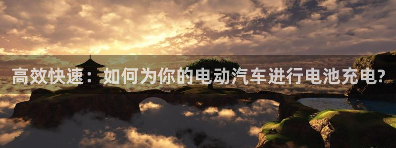 优发国际登录：高效快速：如何为你的电动汽