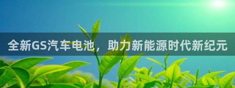 优发国际游戏n：全新GS汽车电池，助力新