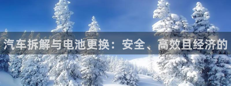 优发国际登录首页官网：汽车拆解与电池更换：安全、高效且经济的