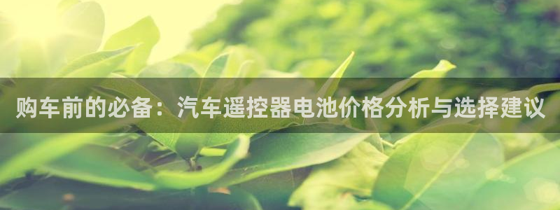 优发国际官网下载：购车前的必备：汽车遥控