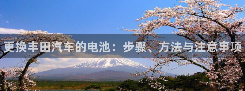 优发国际游戏