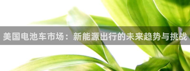优发国际官网手机版下载苹果：美国电池车市场：新能源出行的未来趋势与挑战