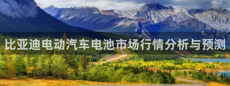 优发国际客服联系方式查询：比亚迪电动汽车电池市场行情分析与预测