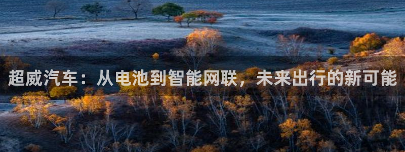 优发国际官网手机号