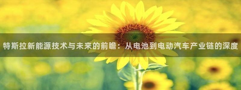 优发国际平台app下载官网：特斯拉新能源技术与未来的前瞻：从电池到电动汽车产业链的深度