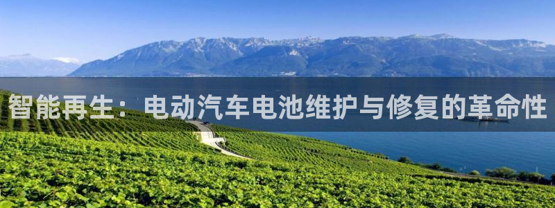 优发国际手机版官网：智能再生：电动汽车电池维护与修复的革命性