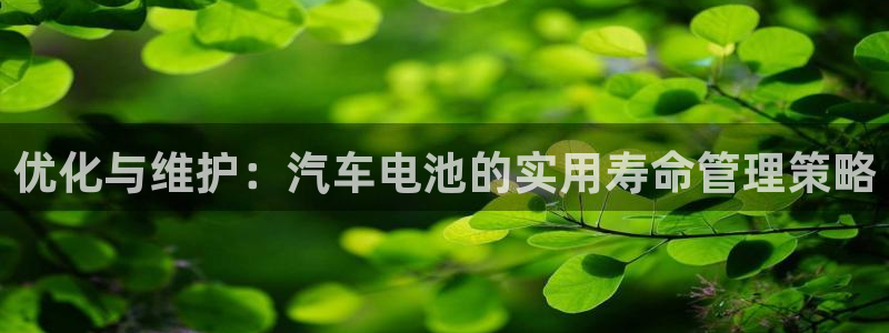 优发国际一首页：优化与维护：汽车电池的实用寿命管理策略
