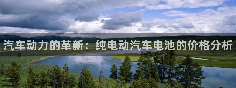 优发国际游戏官方网站入口：汽车动力的革新：纯电动汽车电池的价格分析