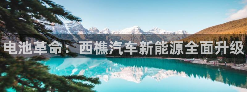 优发国际安卓版下载安装