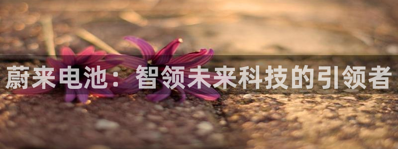 优发国际手机app下载安装苹果