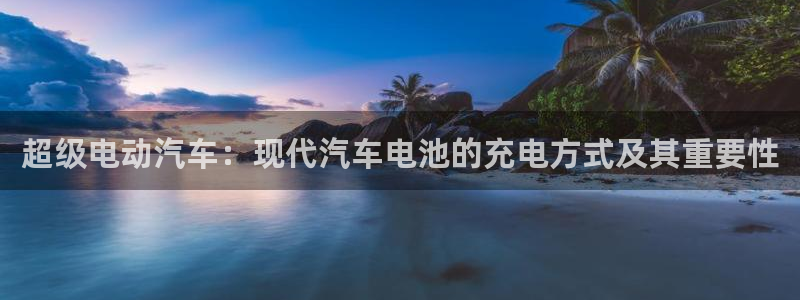 优发国际是大平台吗是真的吗：超级电动汽车：现代汽车电池的充电方式及其重要性