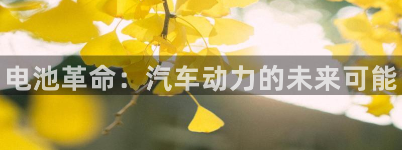 优发国际注册账号